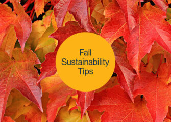 Fall into Action: Simple Tips for a More Sustainable Season 